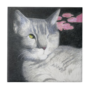 Katt Kakelplatta