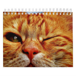 Katt Kalender