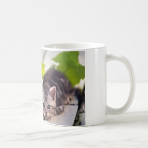 Katt & kaninbästa vänmugg kaffemugg