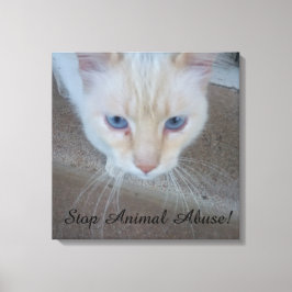 Katt-Kanvastryck Canvastryck