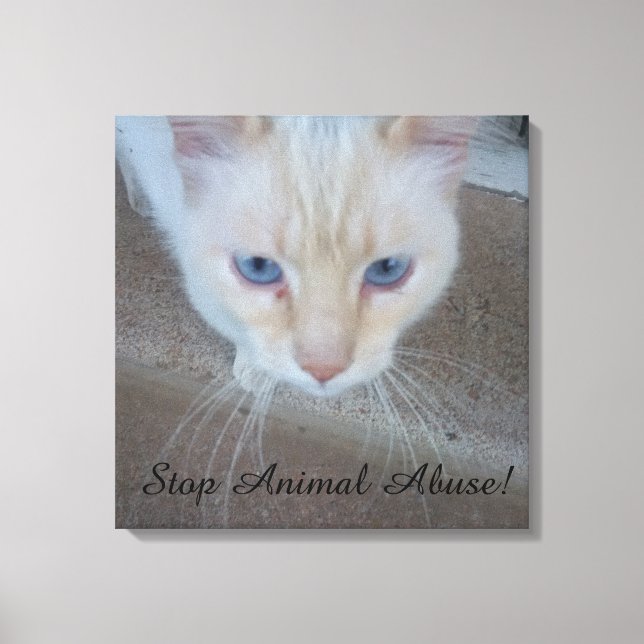 Katt-Kanvastryck Canvastryck (Framsida)