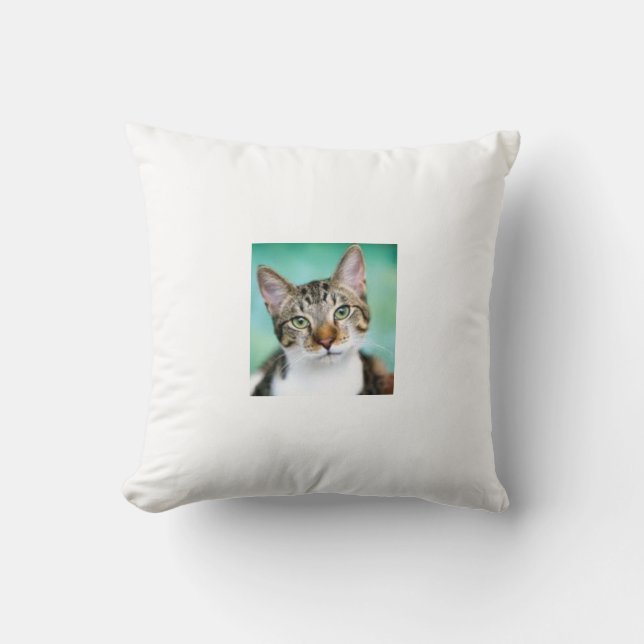 Katt kastkudde kudde (Framsida)