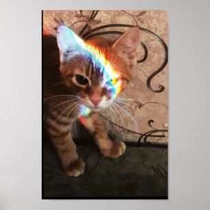 Katt, katt, katt, katt, katt, katt, katt, katt, lu poster