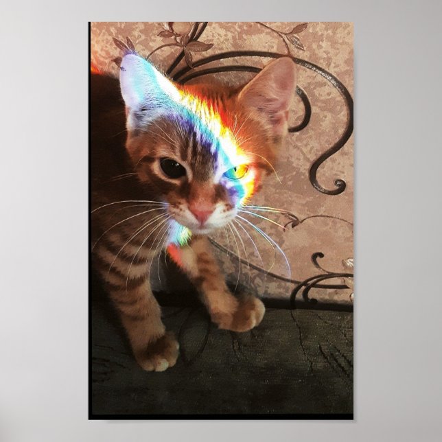 Katt, katt, katt, katt, katt, katt, katt, katt, lu poster (Framsidan)