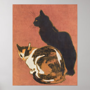 katt,katt,söt,vintage,kattunge,kittens,djur,kattun poster