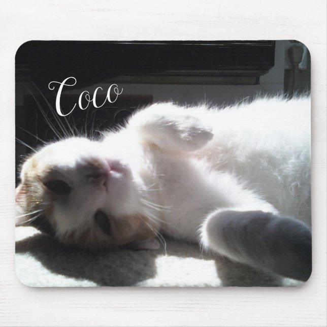 Katt Kattdjur Mouse Pad! Musmatta (Framsidan)