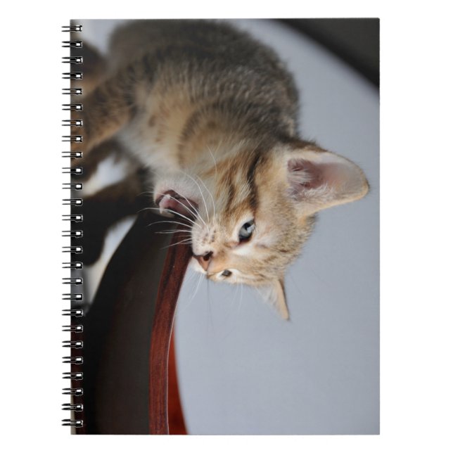 katt, kattunge, djur anteckningsbok (Framsidan)