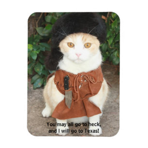 Katt/kattunge i hjortläder med det Davy Crockett Magnet