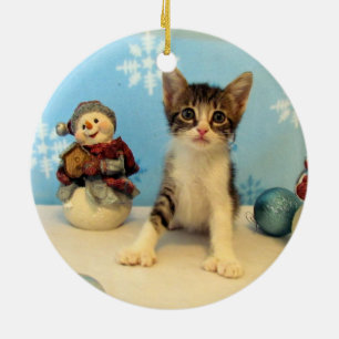Katt, kattunge, jul, Rädding Julgransprydnad Keramik