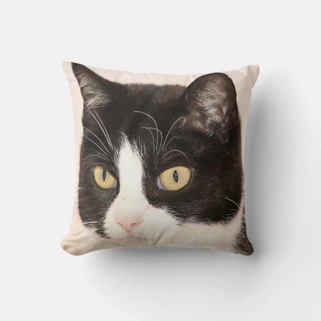 Katt kattunge, kattungeansiktedekorativ kudde (Framsida)