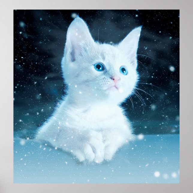 Katt kattunge snö art av djurart poster (Framsidan)