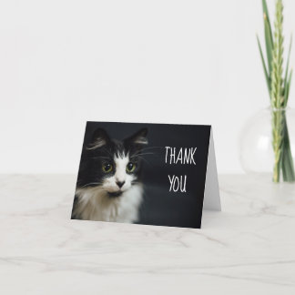Katt, Kattunge, Tack Small Notecard Kort