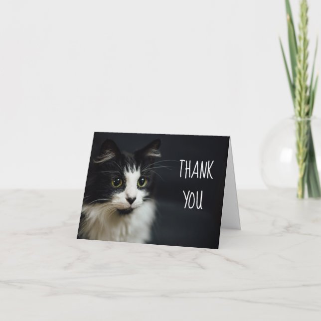 Katt, Kattunge, Tack Small Notecard Kort (Framsida)