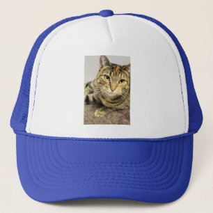 Katt Keps