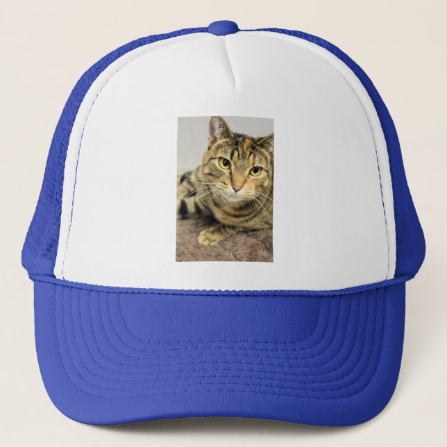 Katt Keps (Framsida)