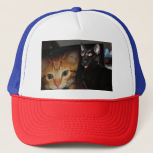 Katt Keps