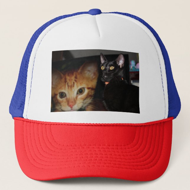 Katt Keps (Framsida)