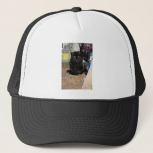 Katt Keps