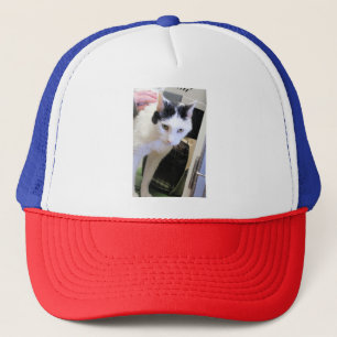 Katt Keps