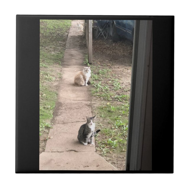 Katt Keramisk Platta Kakelplatta (Framsidan)