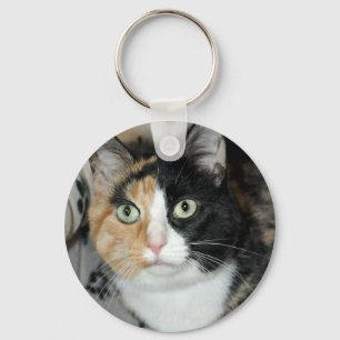 Katt Keychain för skydd för amerikanShorthair Nyckelring