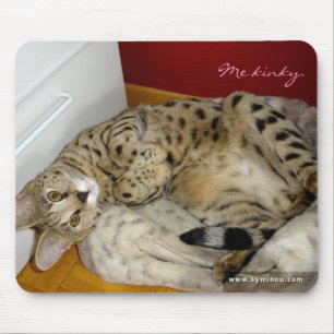 Katt kinky Mousepad för Savannah F1 Musmatta