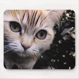 Katt, Kitten, Gustaf Musmatta