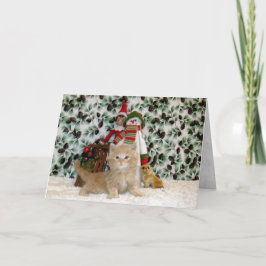 Katt, Kitten, jul, Rädding, foto Helgkort