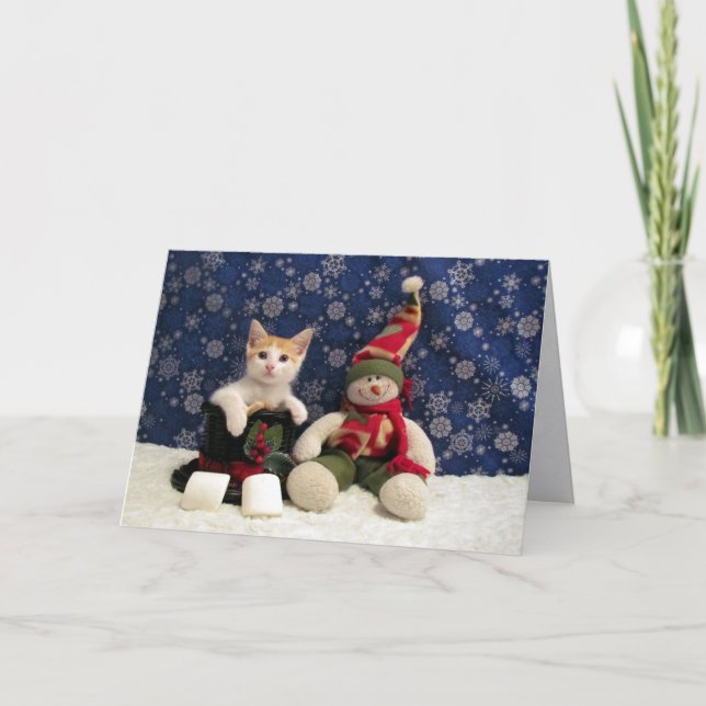 Katt, Kitten, jul, Rädding, foto Helgkort (Framsida)