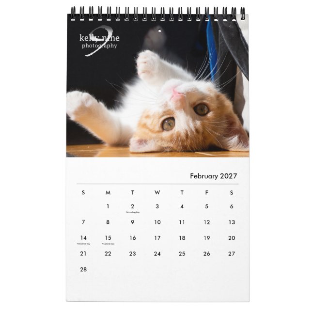 Katt & Kittens by Kelly Nine Photography Kalender (Feb 2027)