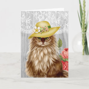 Katt klädd i hattskydd kort