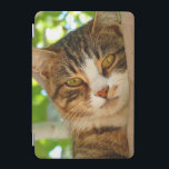 Katt klättra i Träd iPad Mini Skydd<br><div class="desc">Porträtt-foto av en katt med tydlig grönt öga som klättrar i träd en solig dag.</div>