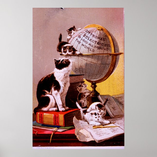 Katt-klectriolja Poster (Framsidan)