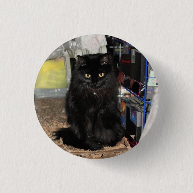 Katt Knapp (Framsida)