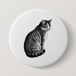 Katt Knapp