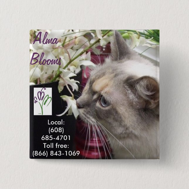 Katt Knapp (Framsida)