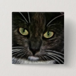 Katt Knapp
