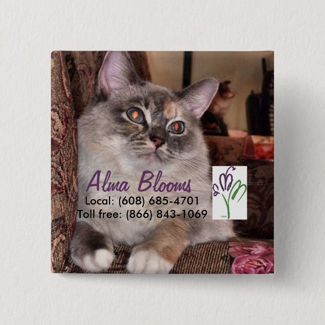 Katt Knapp (Framsida)