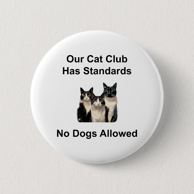 Katt Knapp (Framsida)