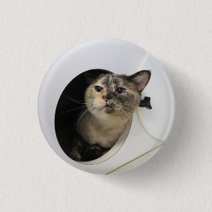 Katt Knapp
