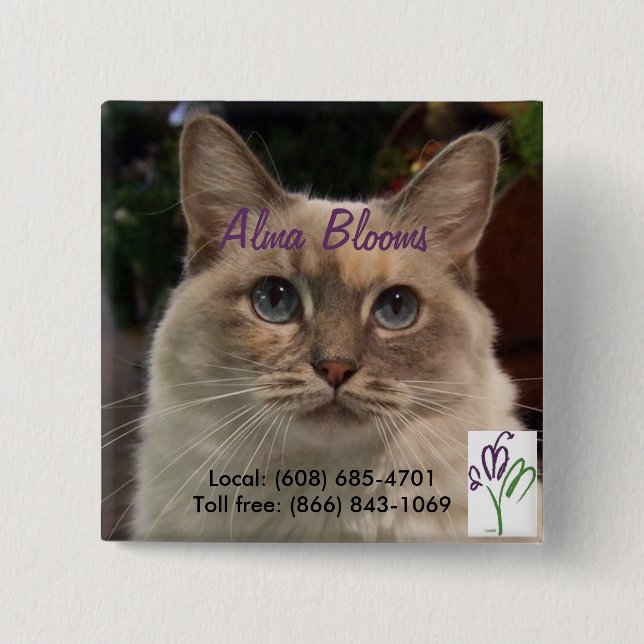 Katt Knapp (Framsida)