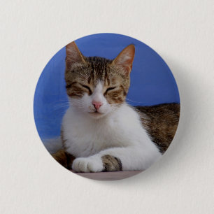Katt-knapp för grekiska knapp