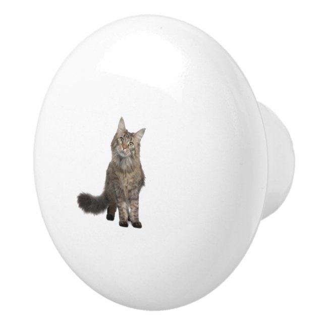 Katt Knopp (Höger)
