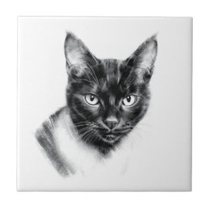 Katt Kol Kakelplatta