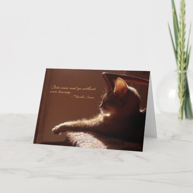 Katt-Kom och visitkort Kort (Framsida)