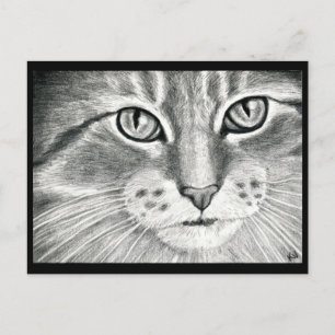 Katt konsrealism i teckning vykort