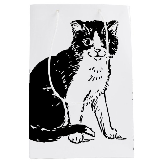 Katt Konst (Framsidan)