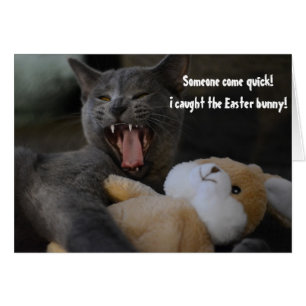 Katt KÖPTE Påskharn Funny Humor Hälsning Hälsningskort