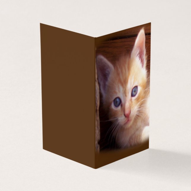Katt Kort (Utsida)