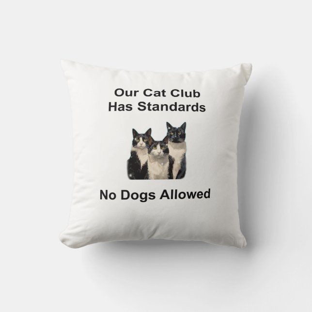 Katt Kudde (Framsida)